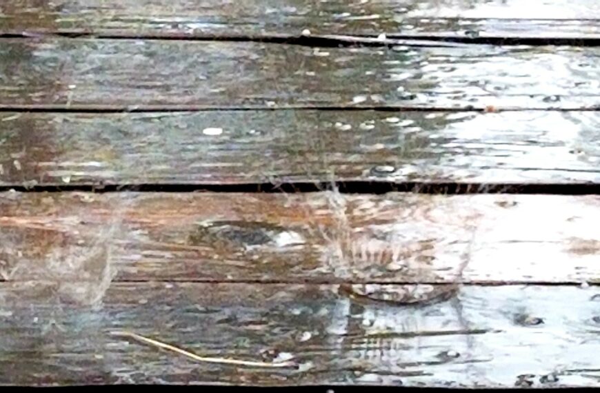 Rain Drops on a Wood Textured Patio Deck!