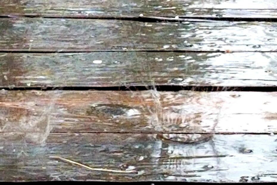 Rain Drops on a Wood Textured Patio Deck!