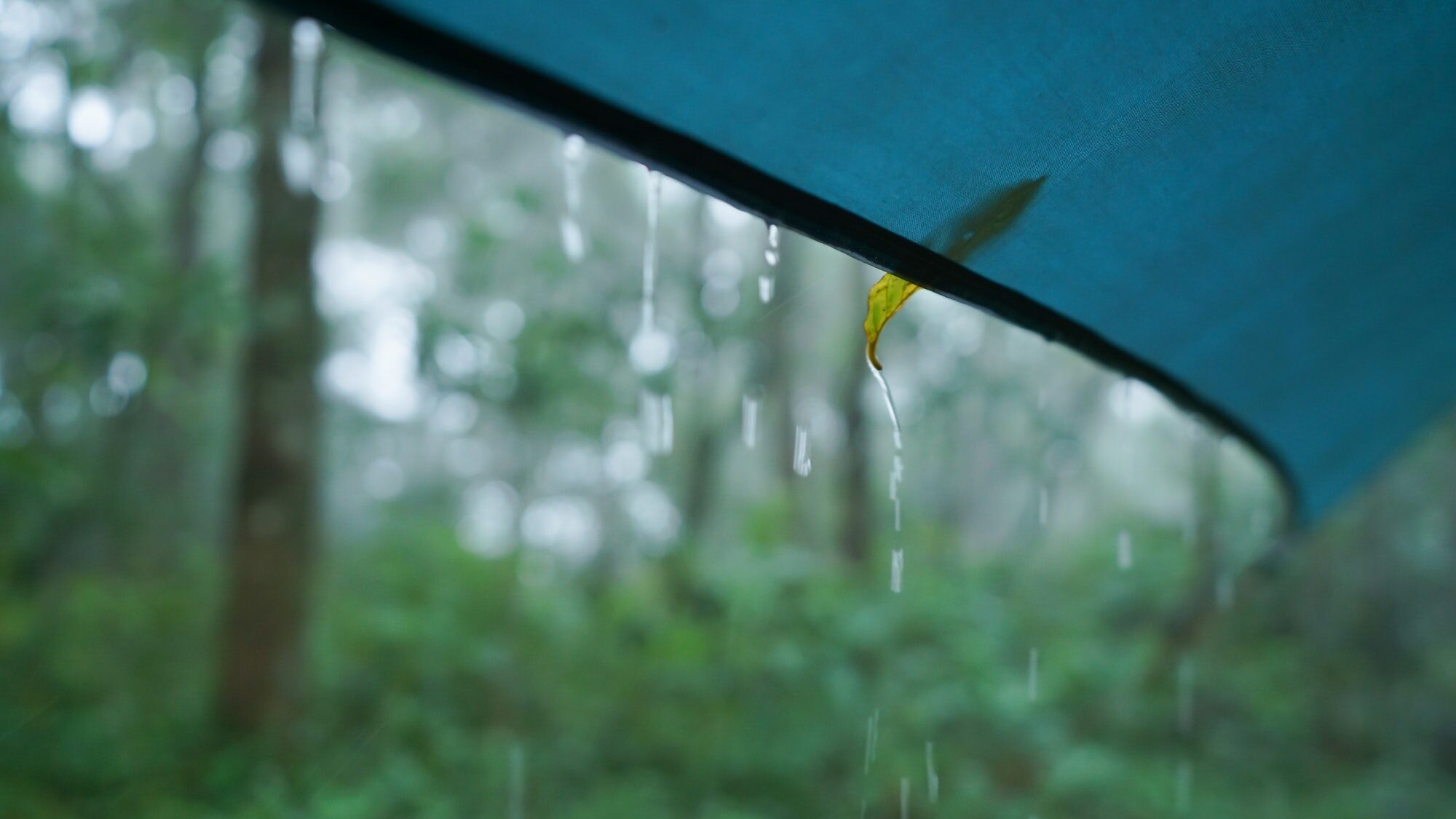 Rain drops on camping canvas